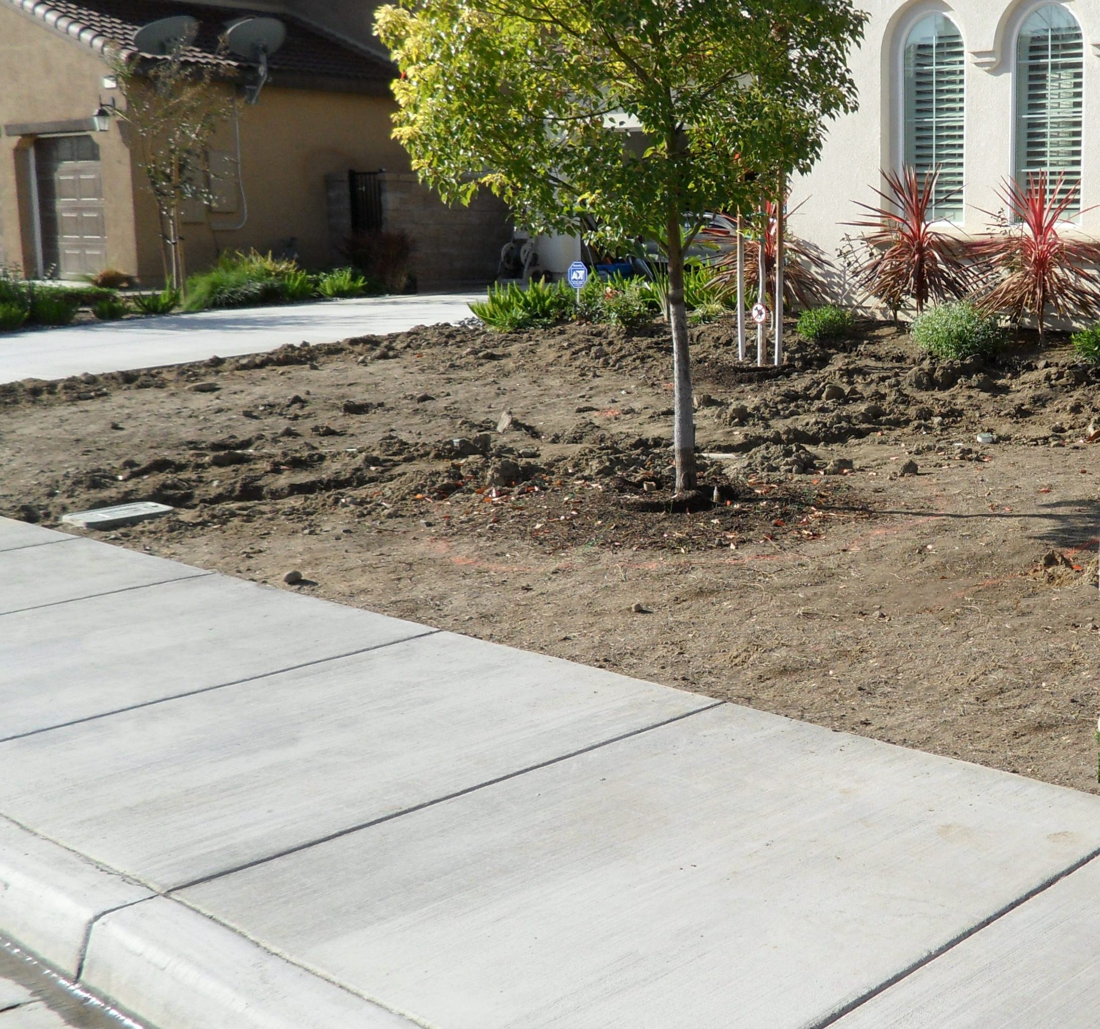 Pearl’s Premium Grass Seed The Mother’s Day Gift That Keeps on Growing